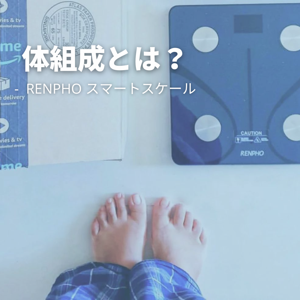 【体組成計豆知識】体組成とは?