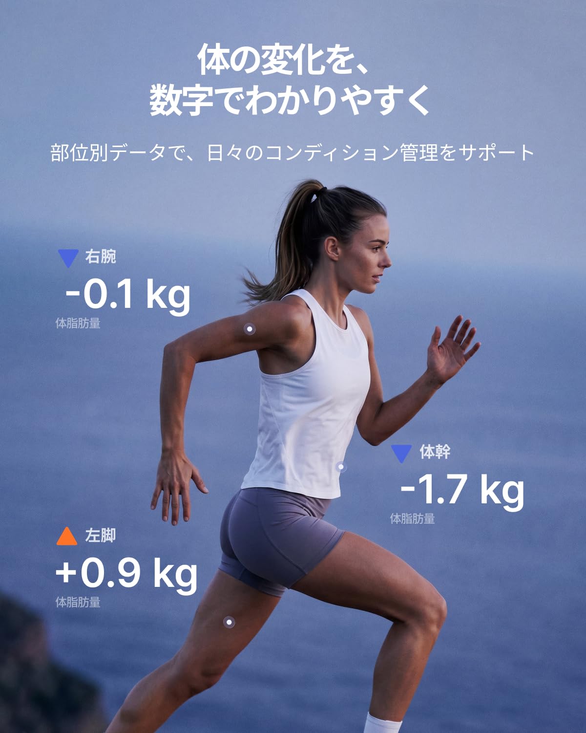 【新商品】RENPHO MorphoScan Base スマート体組成計 Renpho JP